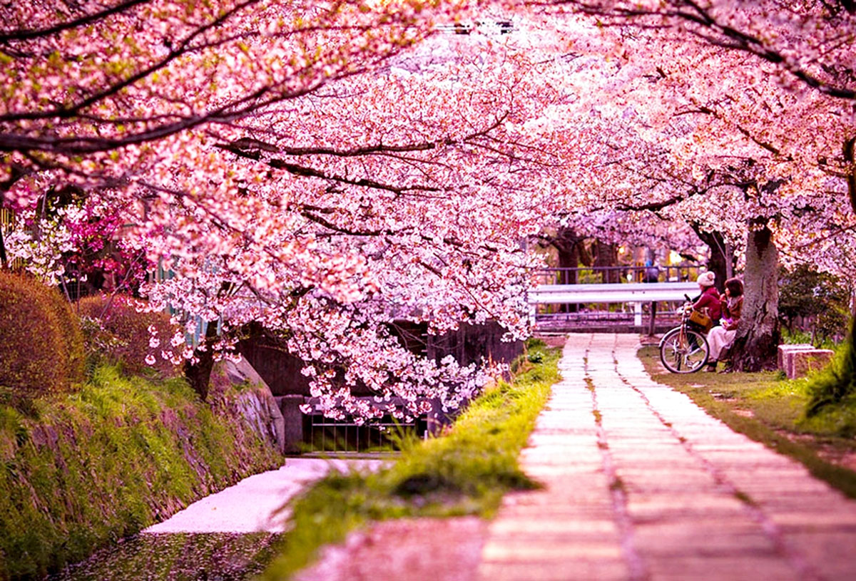 10 lý do du lịch Nhật Bản