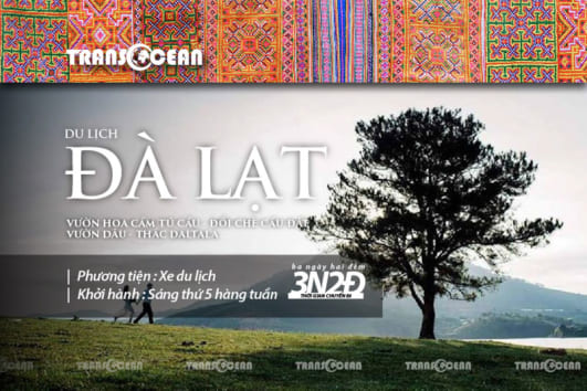 ĐÀ LẠT - HOA CẨM TÚ CẦU - VƯỜN DÂU TÂY ĐỒI CHÈ CẦU ĐẤT - ĐATANLA