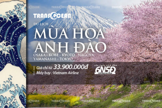 TOUR MÙA HOA ANH ĐÀO | OSAKA – KOBE – KYOTO – NAGOYA – YAMANASHI – TOKYO