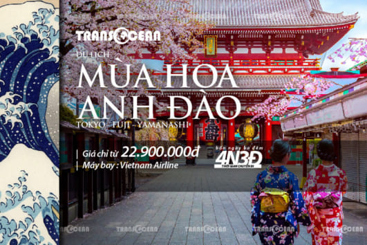 TOUR MÙA HOA ANH ĐÀO NHẬT BẢN | TOKYO – FUJI – YAMANASHI