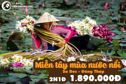 Tour Du Lịch Miền Tây Mùa Nước Nổi 2N1Đ