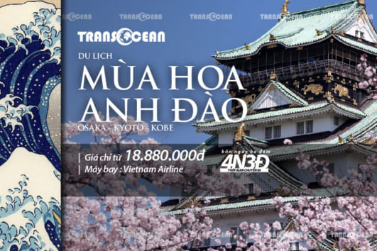 MÙA HOA ANH ĐÀO NHẬT BẢN | OSAKA – KYOTO – KOBE 4N3Đ