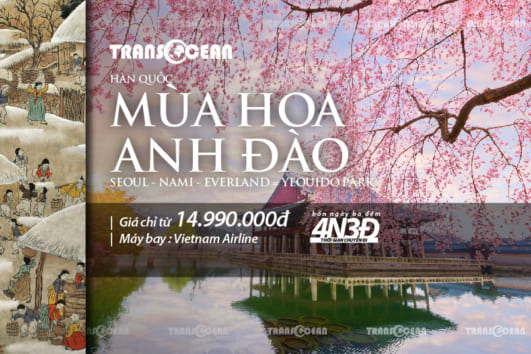 MÙA HOA ANH ĐÀO| SEOUL - NAMI - EVERLAND - BLOSSOM FLOWERS YEOUIDO PARK