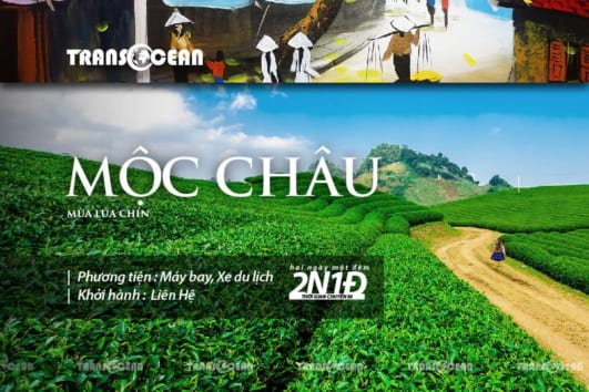 TOUR DU LỊCH MỘC CHÂU MÙA MẬN CHÍN 2020